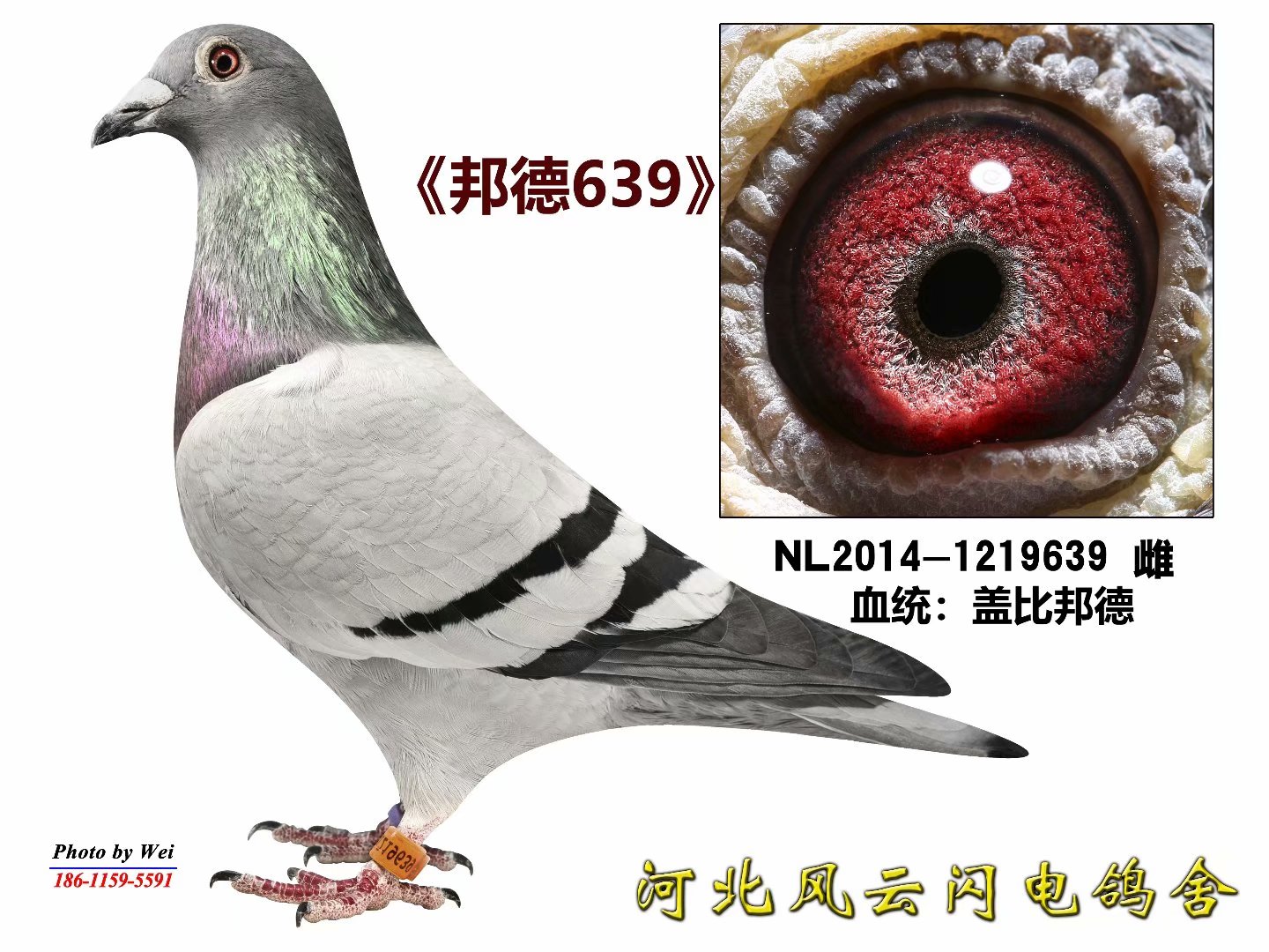 639