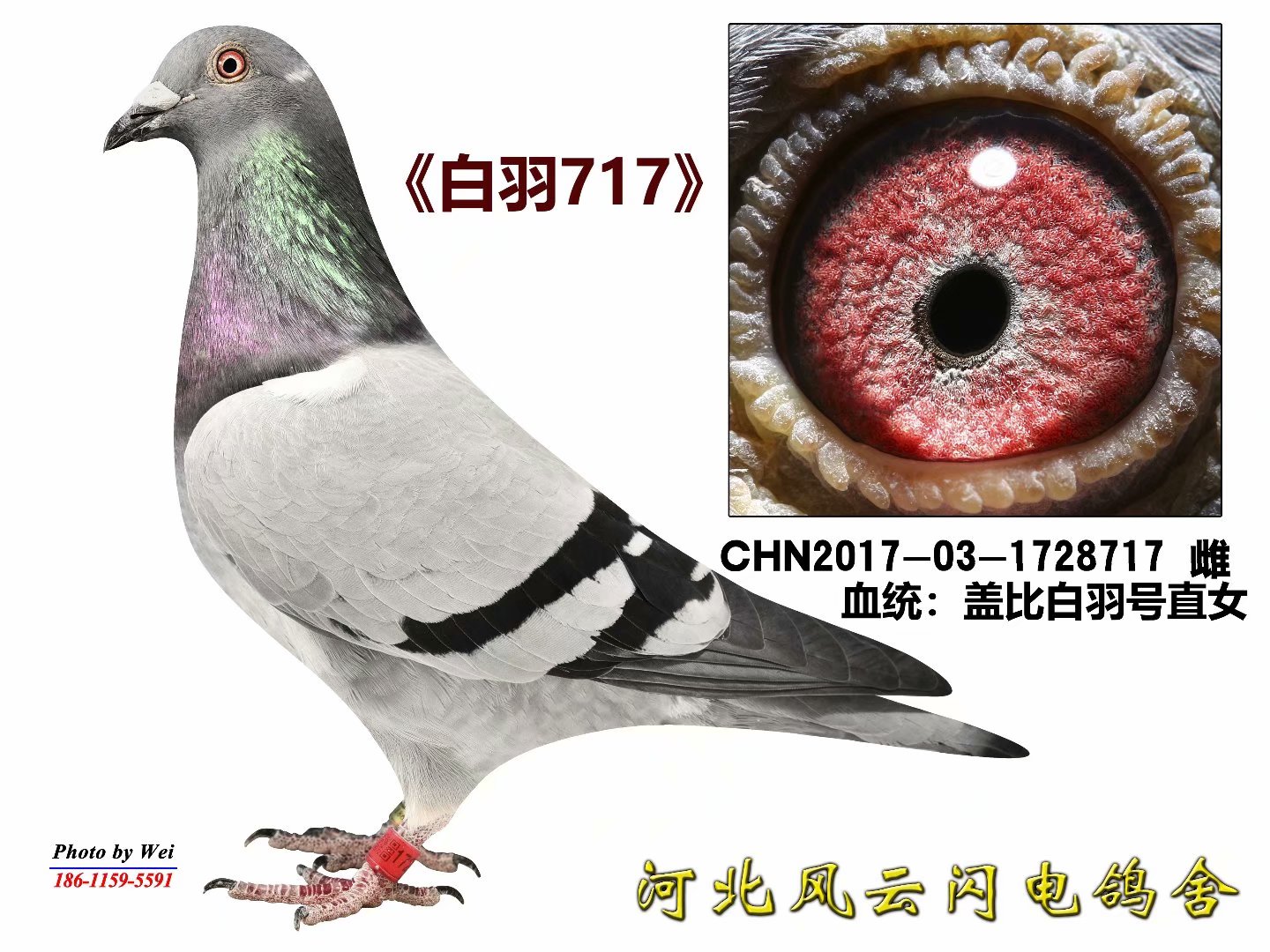 ³717