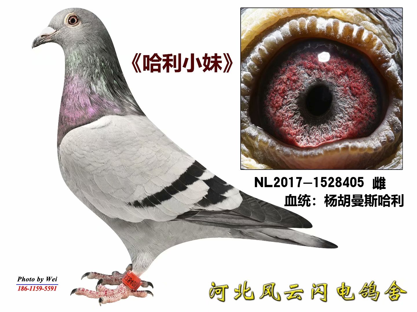 С