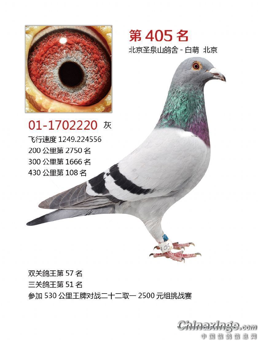 2018年開爾405名