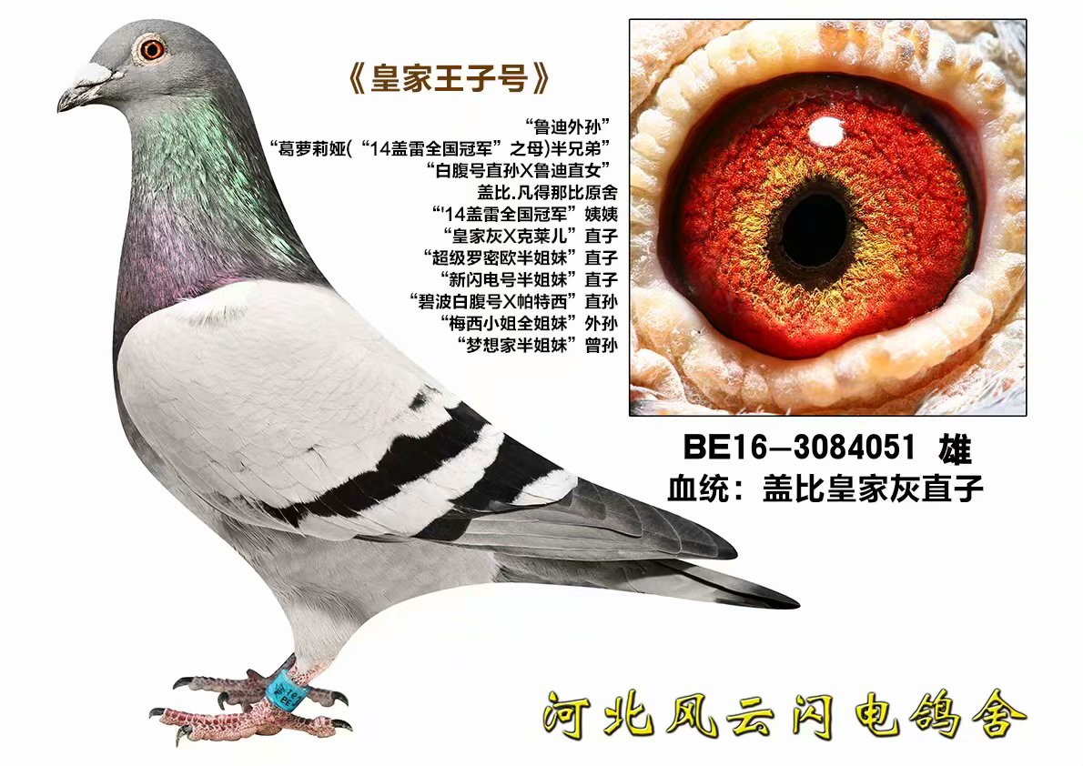 ʼӺ