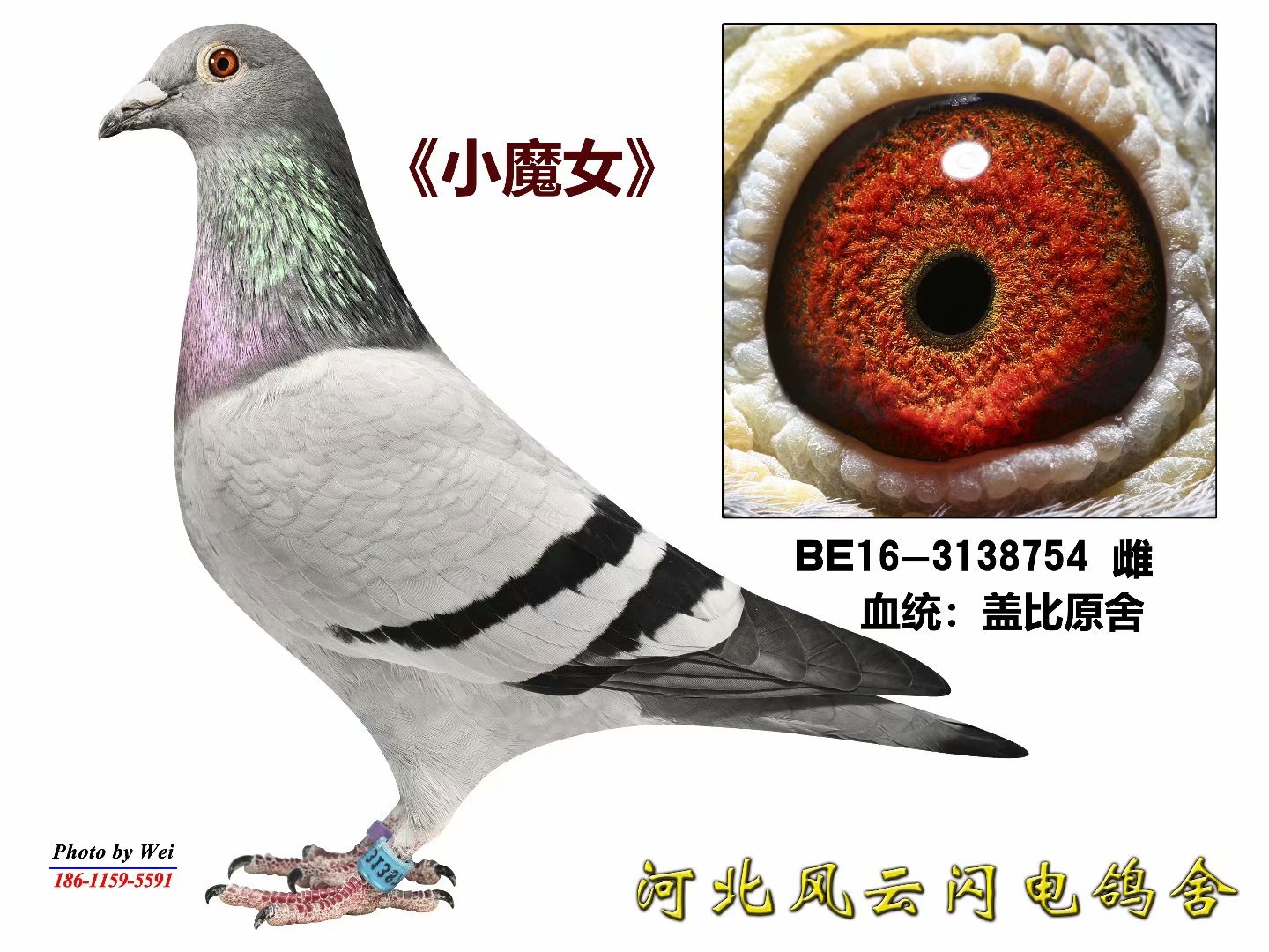 СħŮ