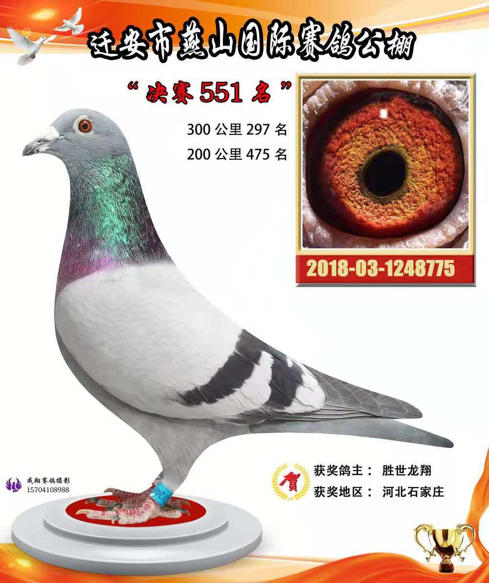 2018wɽHQِ551