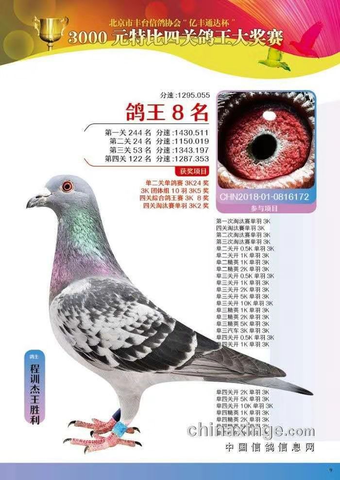 S_(ti)3000ԪرP(gun)8