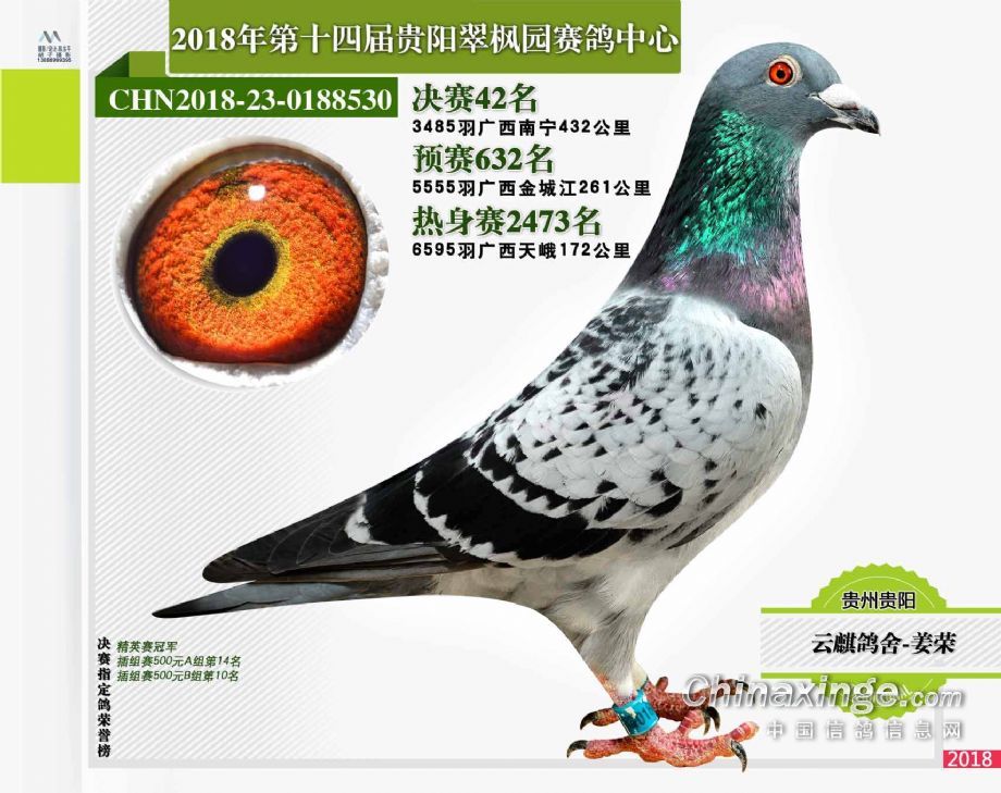 贵州姜荣鸽苑