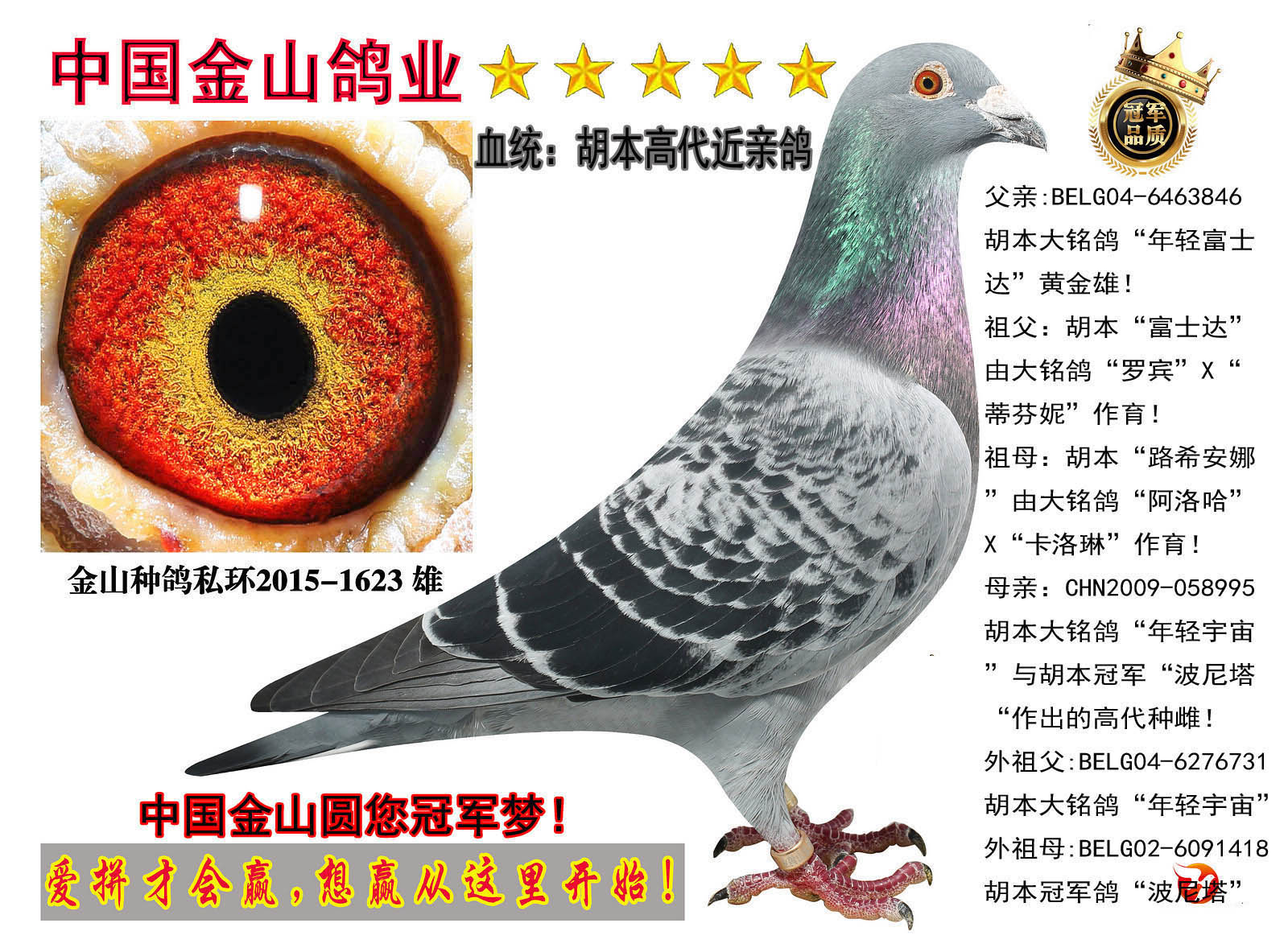 pʿ_cp桱ֱŮ