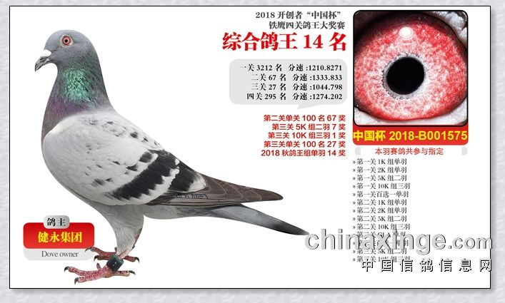 开创国际俱乐部综合14名_北京杨世杰鸽舍_ag188.