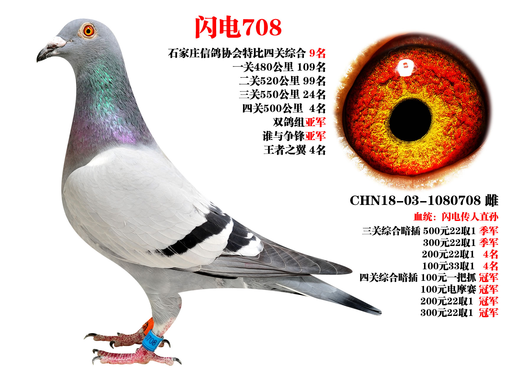 ɣʿ W708