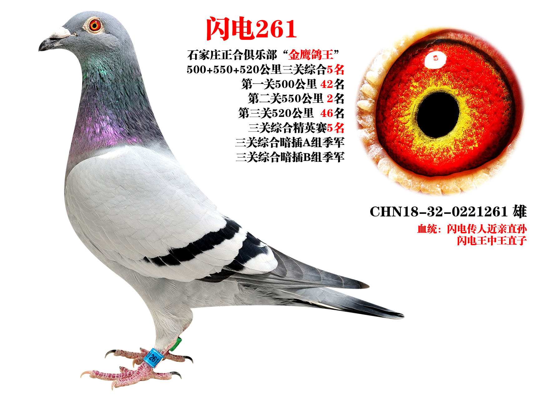 ɣʿ W261