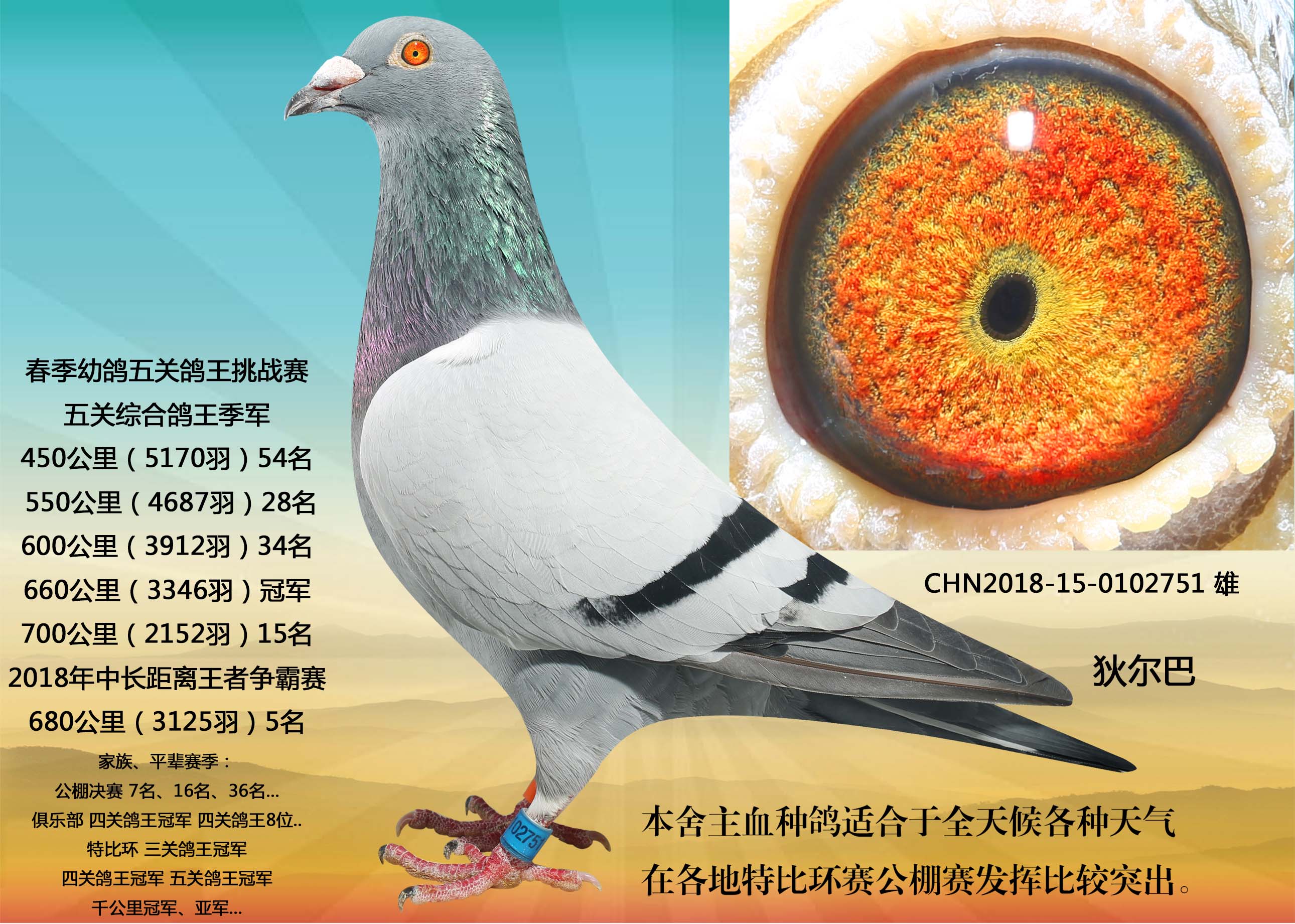 雄风751