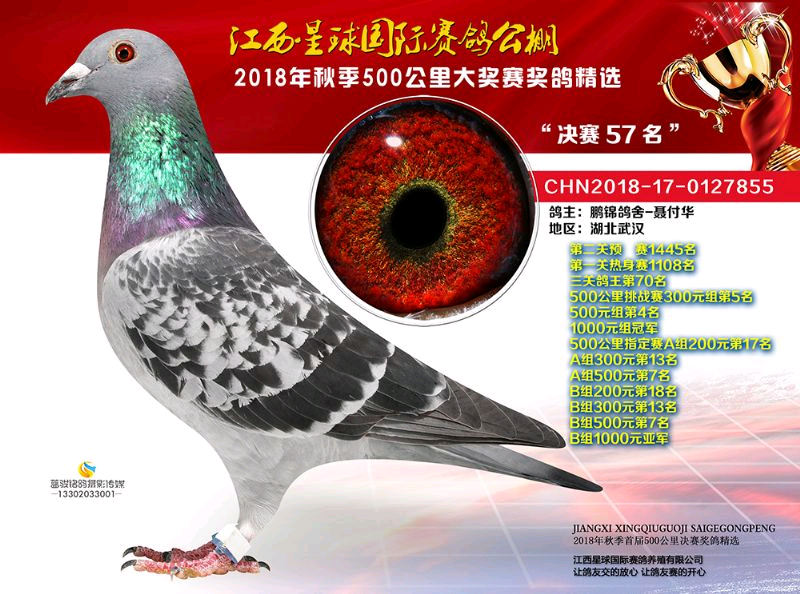 星球国际公棚决赛57名