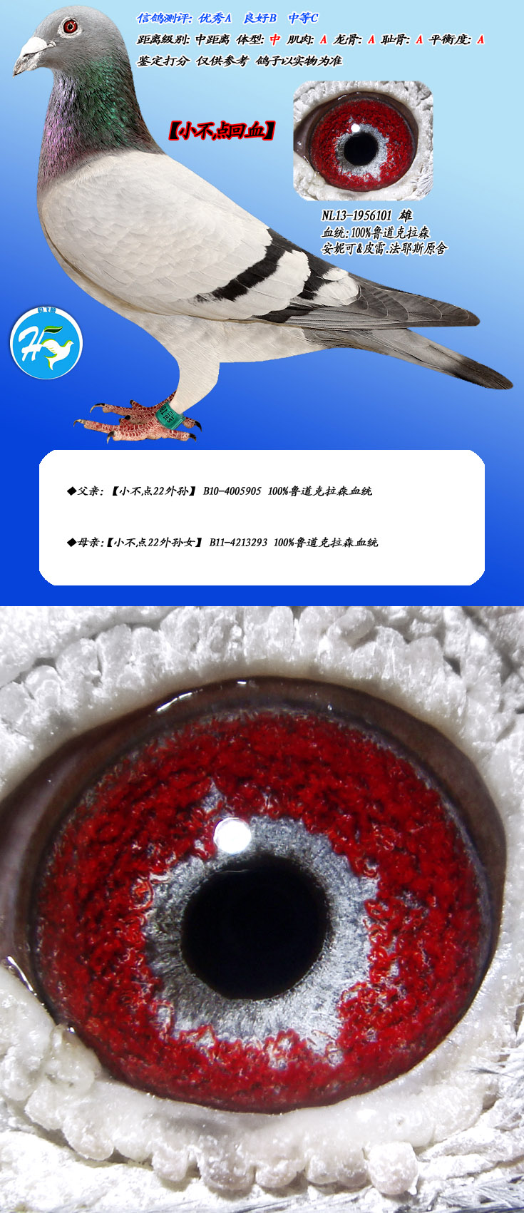 100%?sh)ɭСcѪ