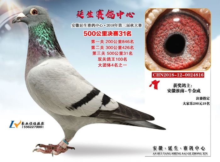 延生公棚31名