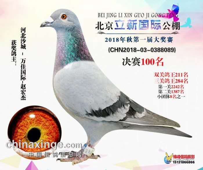 ¹Qِ100