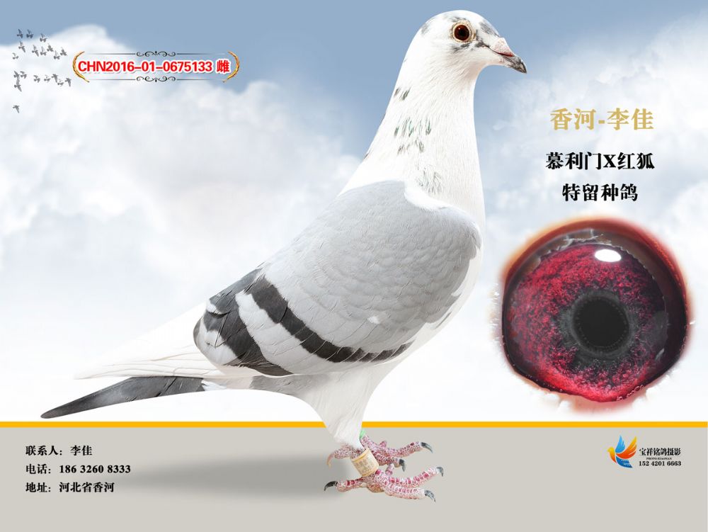 慕利门133