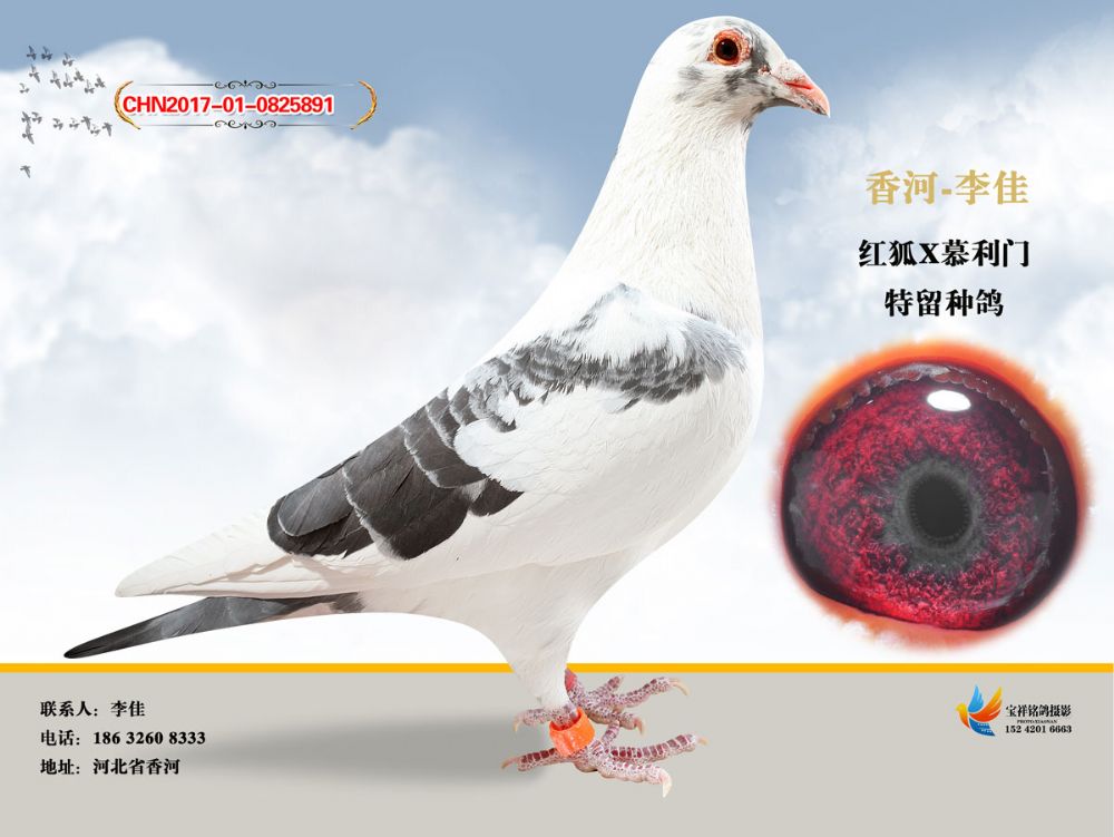 花慕利门891