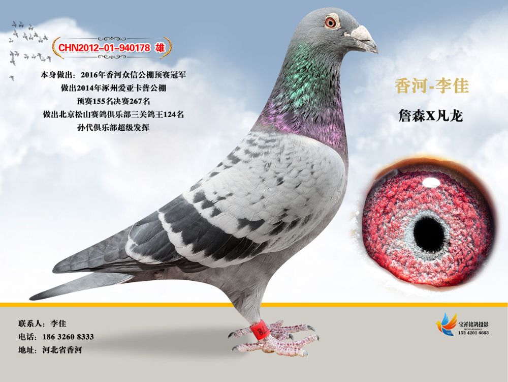 178凡龙