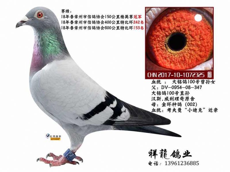 325