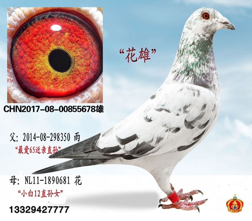 鲁道克拉森
