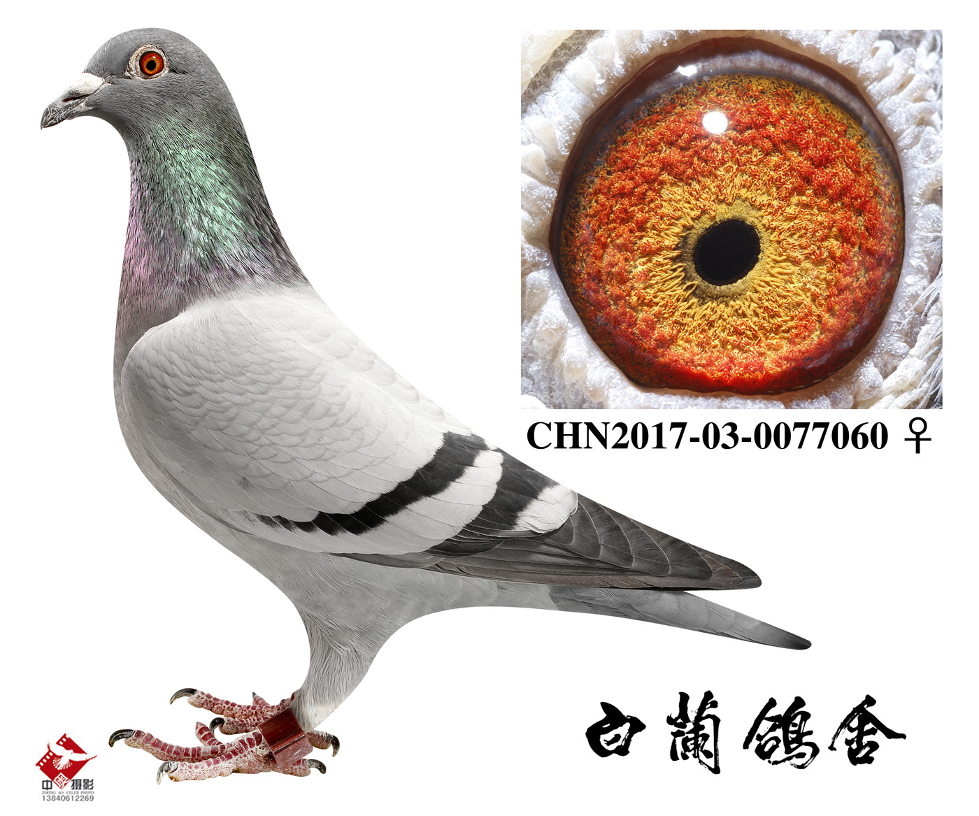 x͹12