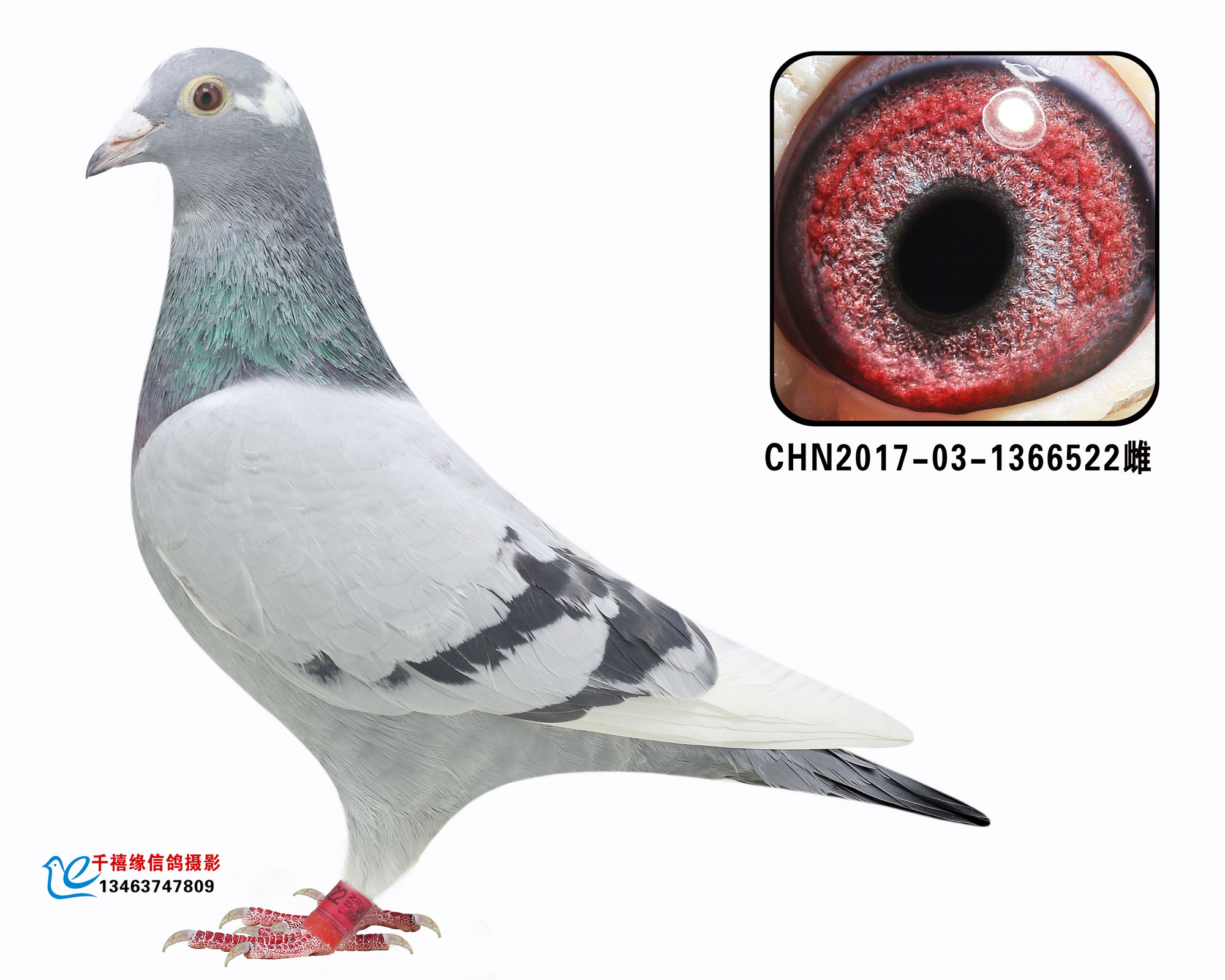 һʿHOŮ
