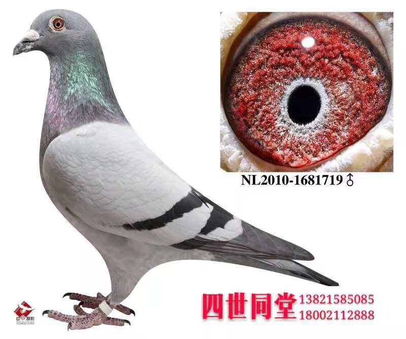 I