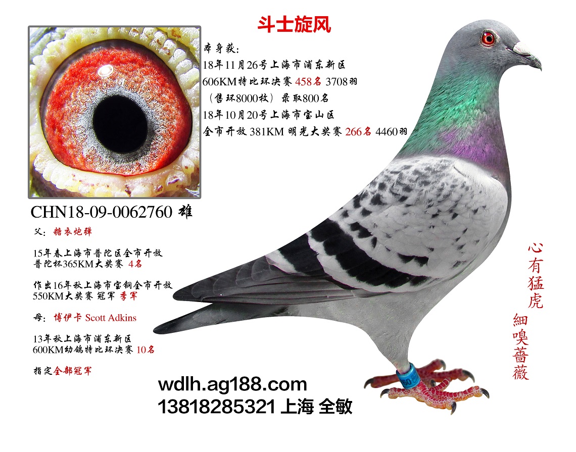 ʿL(fng)  D(zhun)