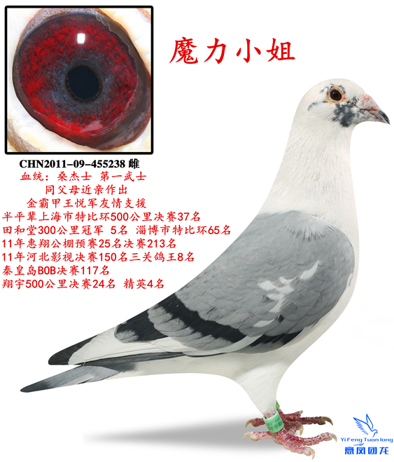ħС