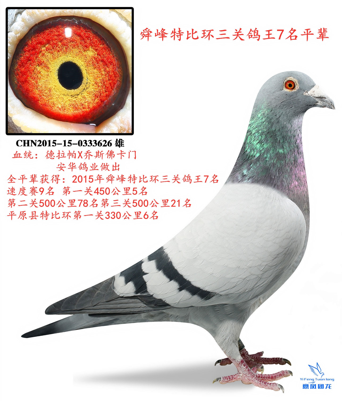 2015˴رȭh(hun)P(gun)7ƽ݅