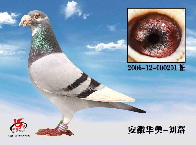 ɣʿ