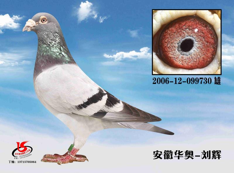 ɣʿ