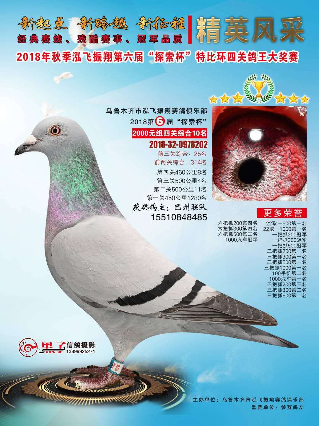 人 气:              次                血 统: 杨龚多拉斯