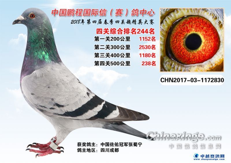 20190204234220602.jpg