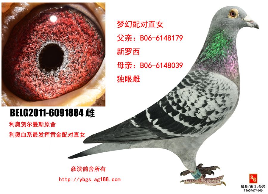 _䪚(d)۴ֱŮ