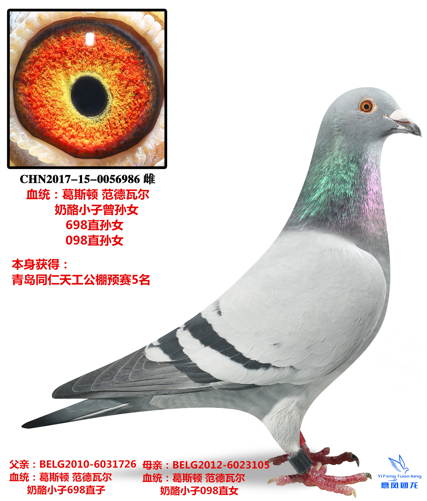 uͬ칤A(y)ِ5