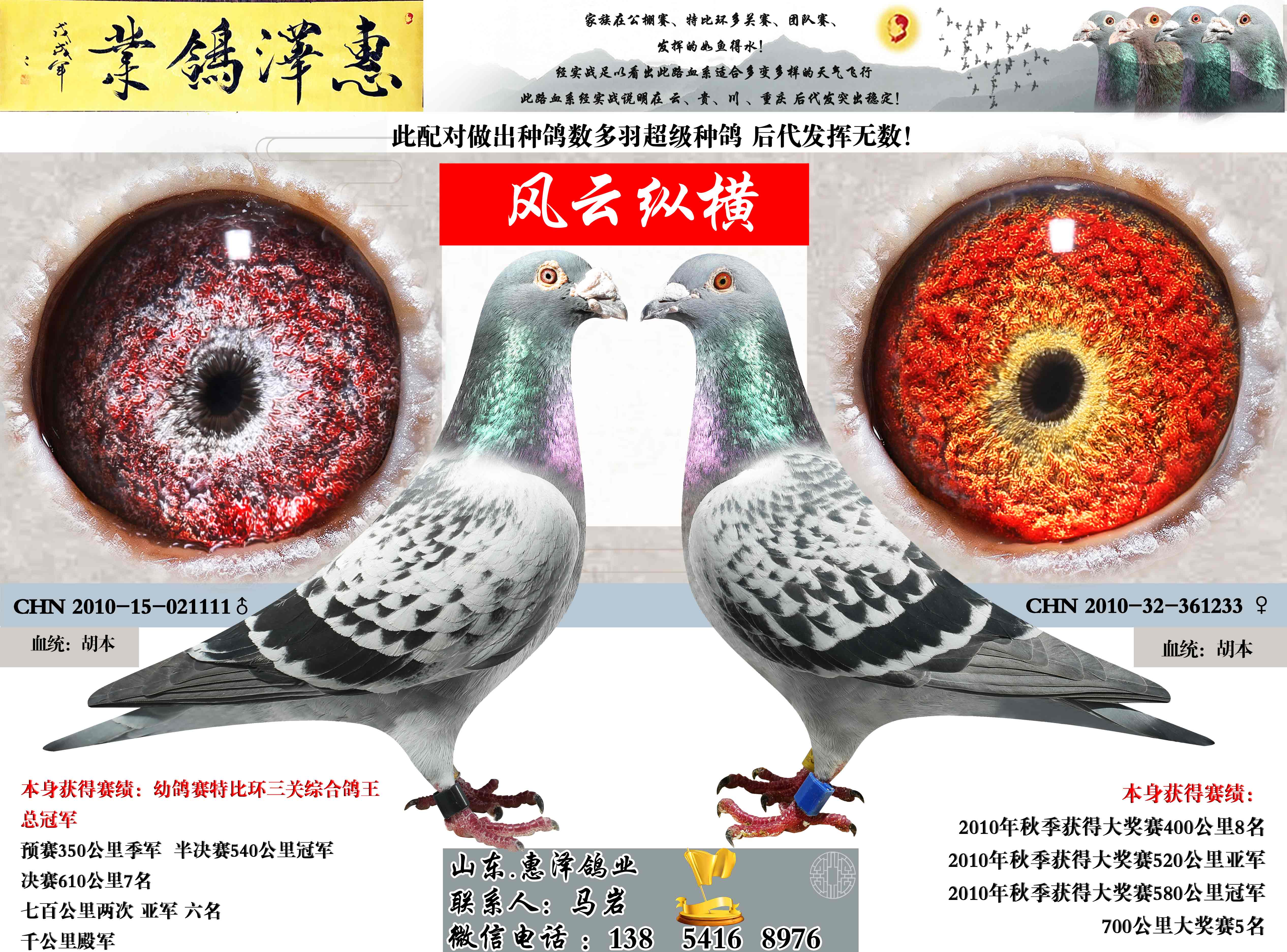 风云纵横