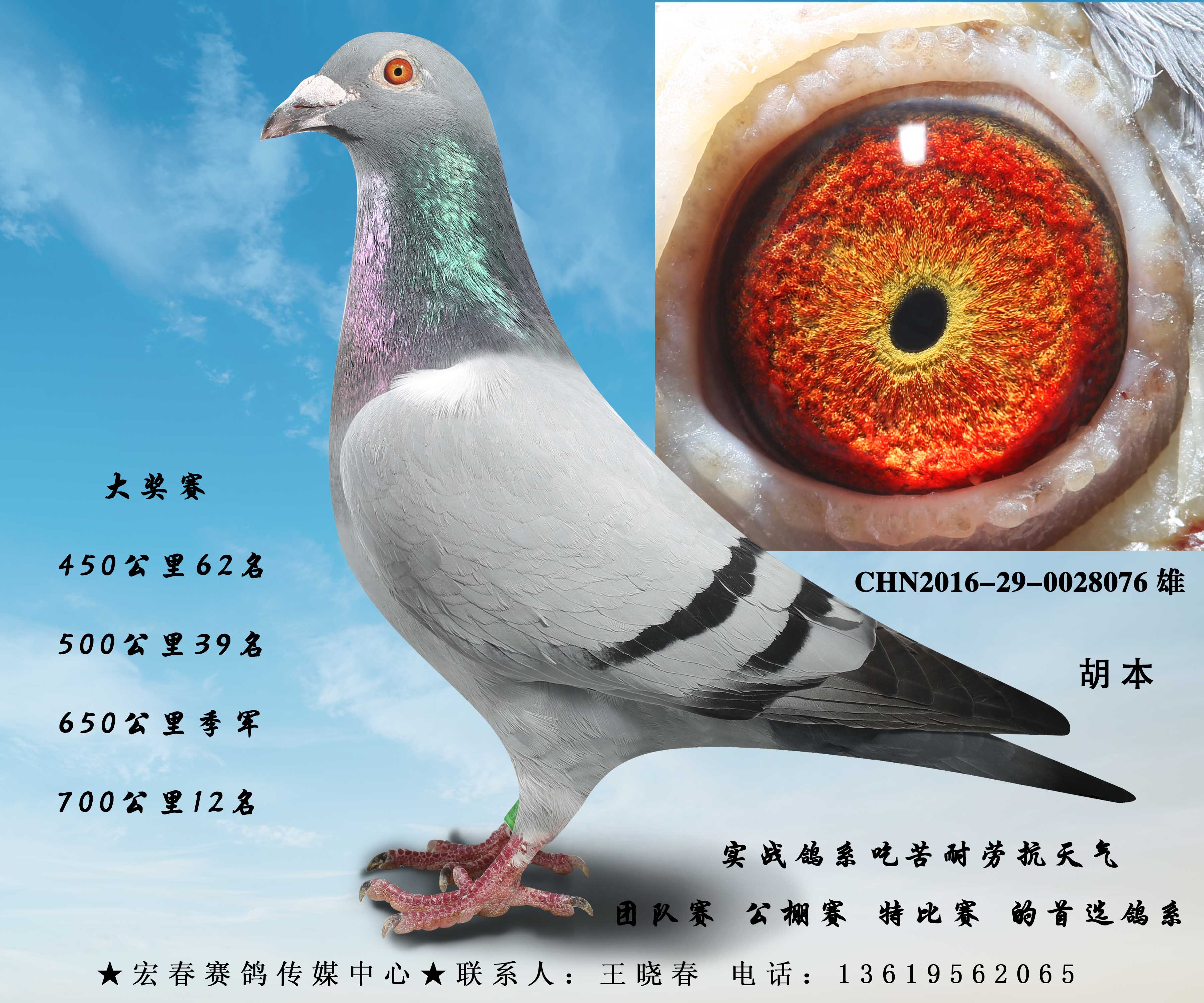 ̓r̎зNһ