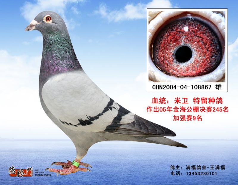 彼得米卫