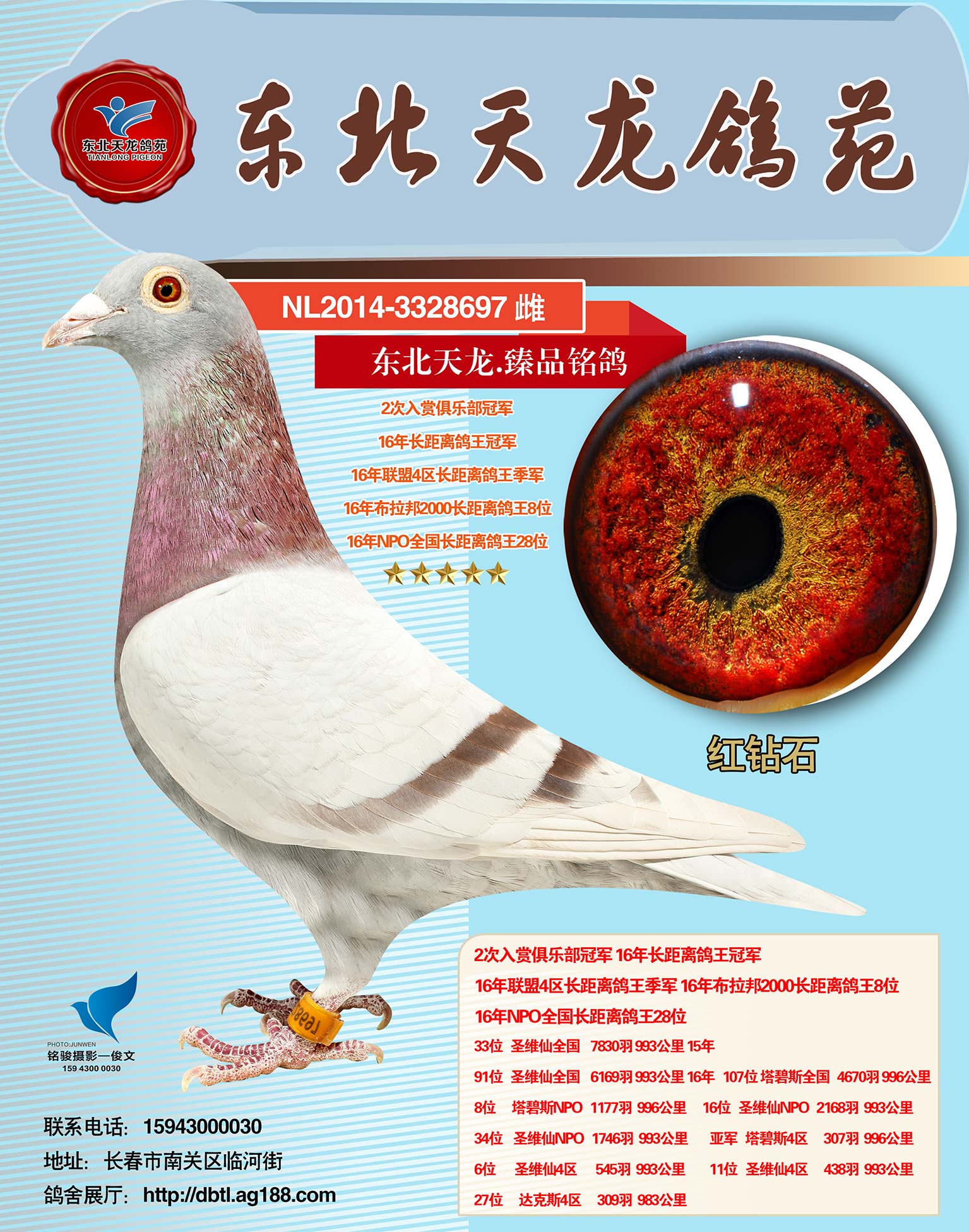 红钻石