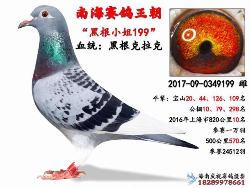 黑根克拉克