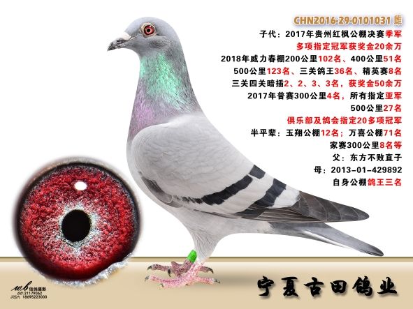 (j)A䌦(du)