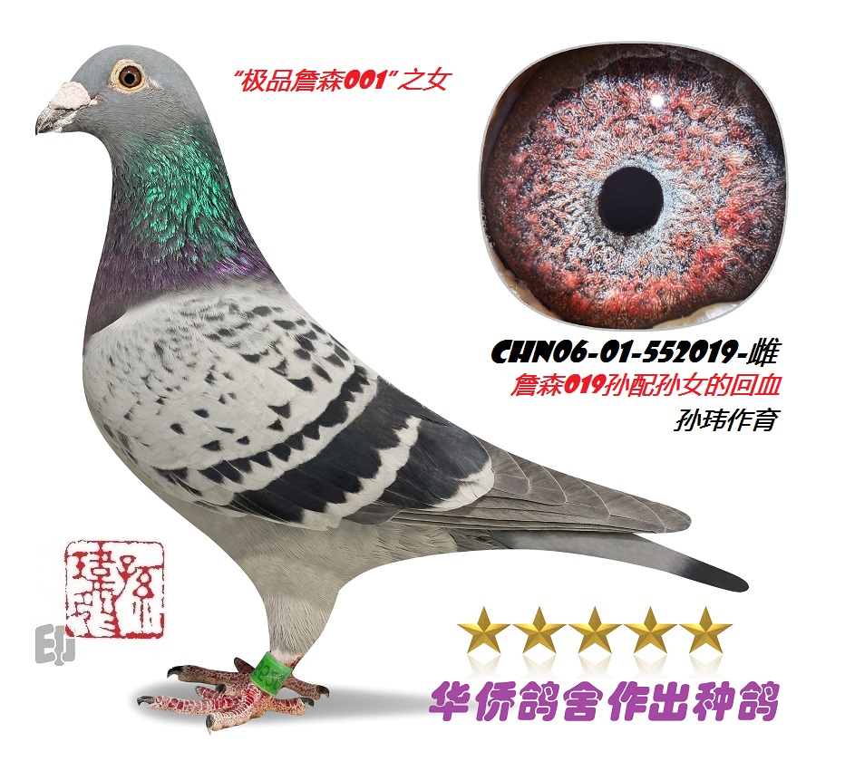 ������ղɭ019�����ղɭ018��