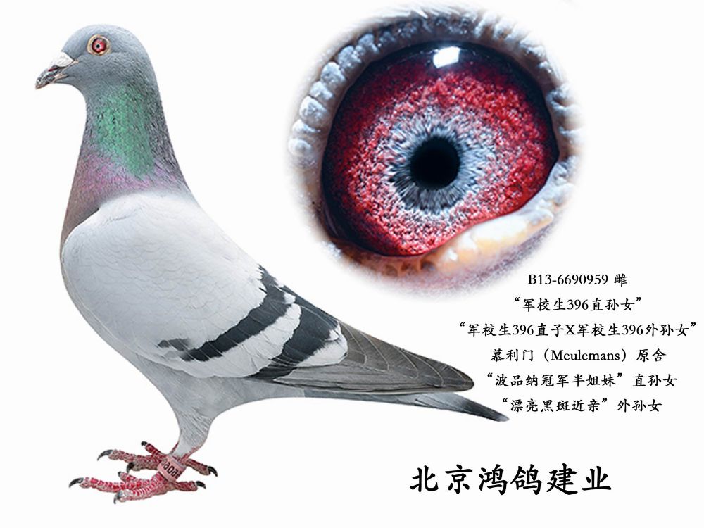 ܊У396ֱOŮ