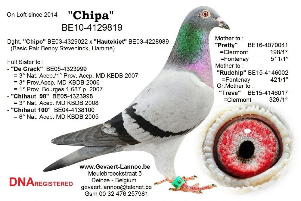 BE17-4176123_extra2_0