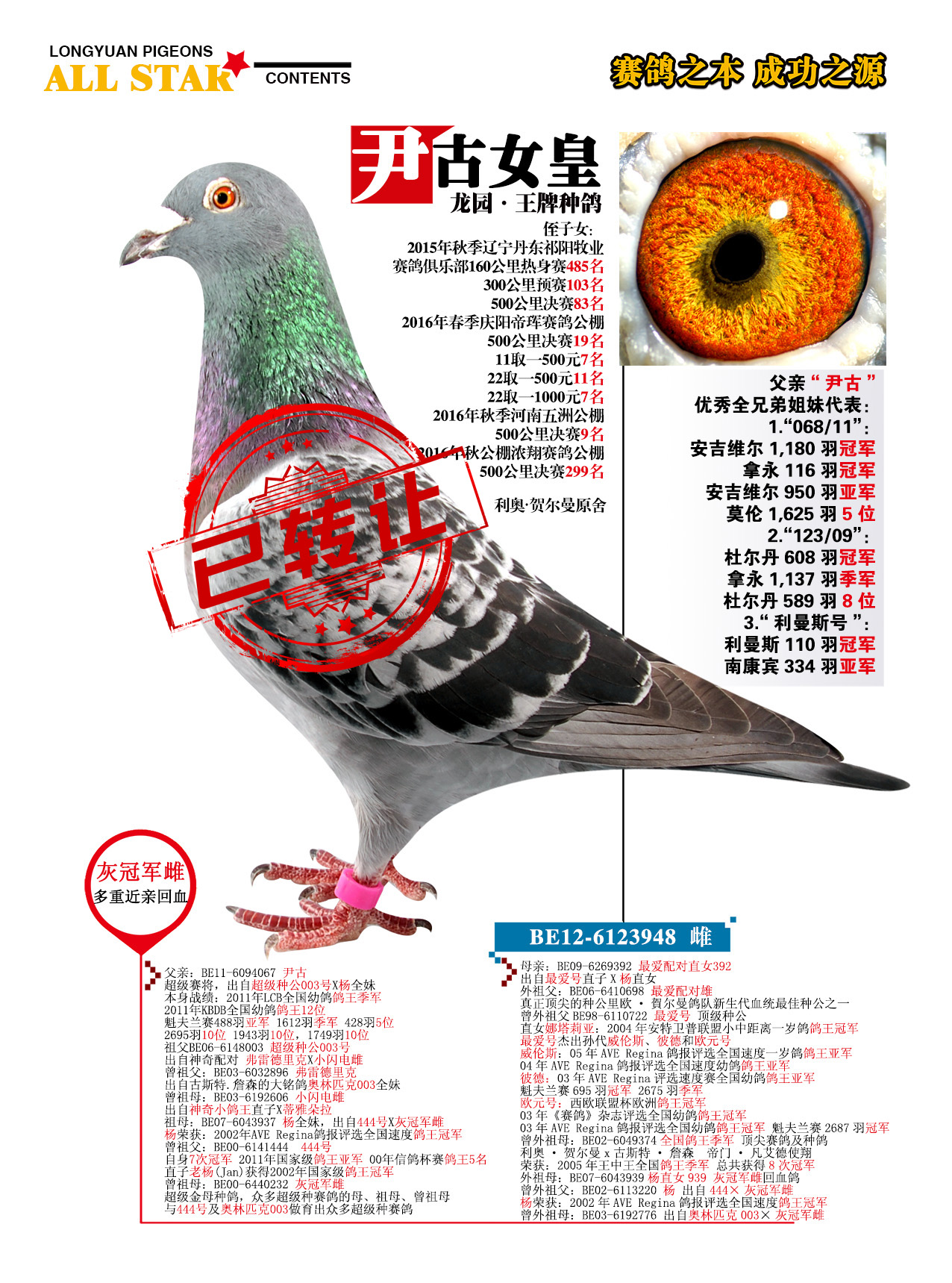 Ů