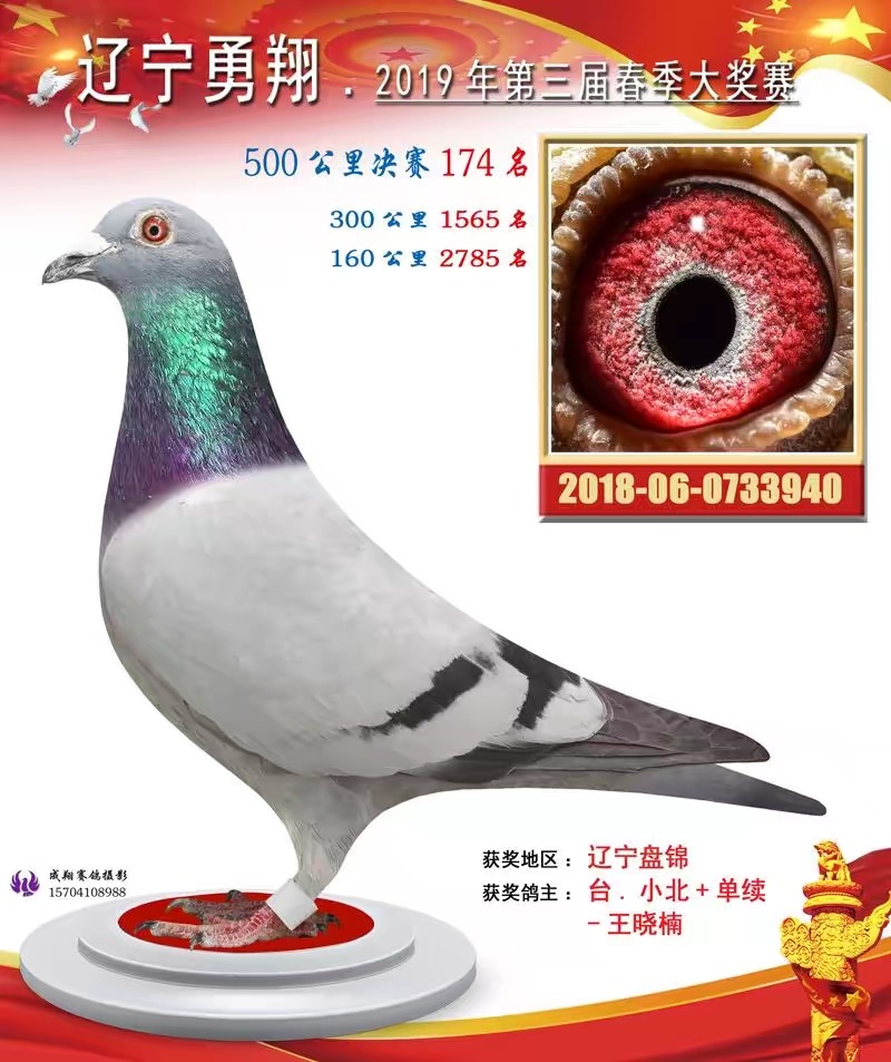 2019굤蹫ﴺ174