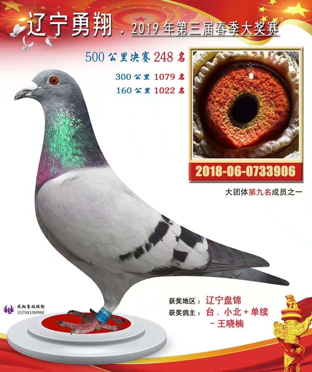 2019굤蹫ﴺ248