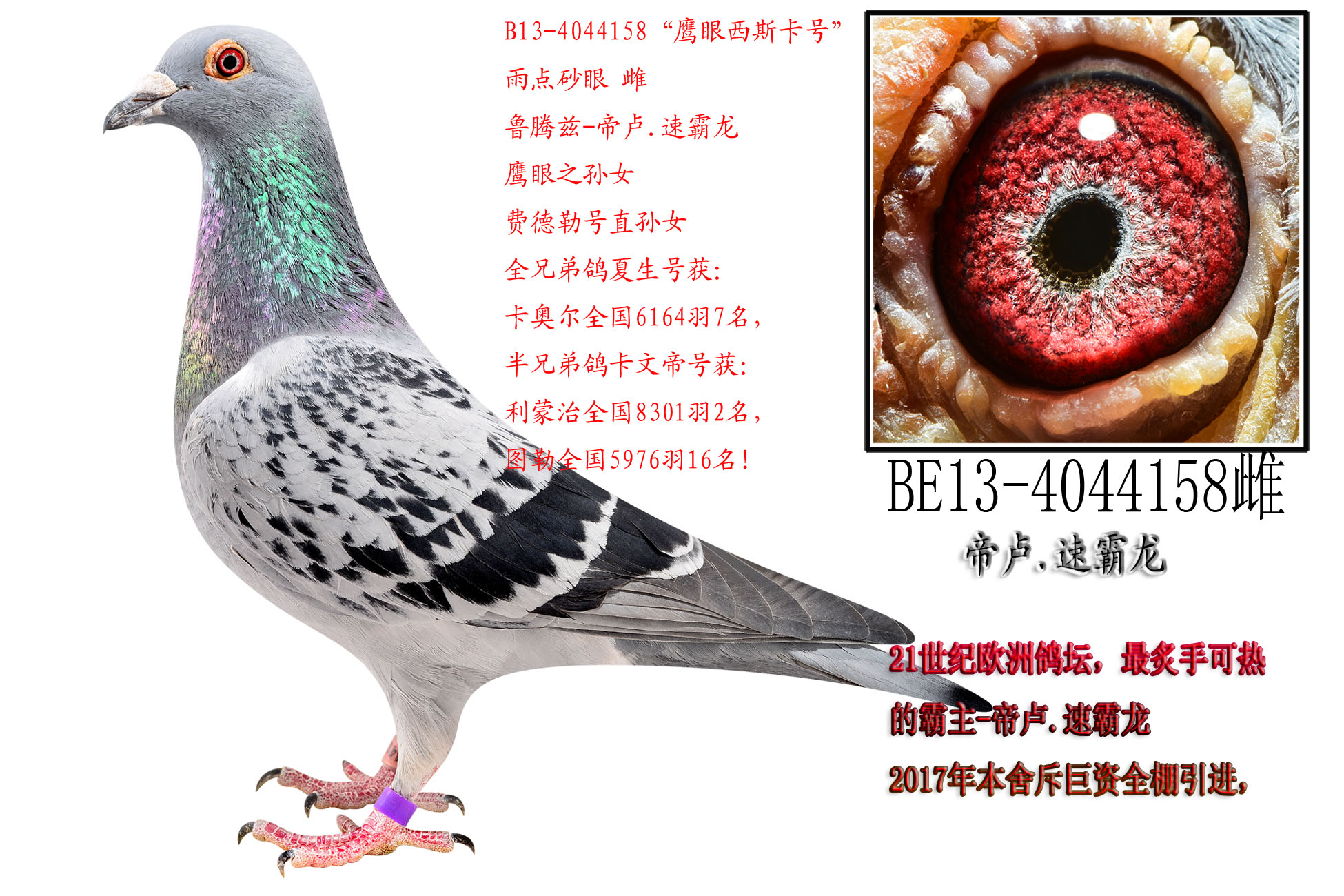 ˹̖(ho)
