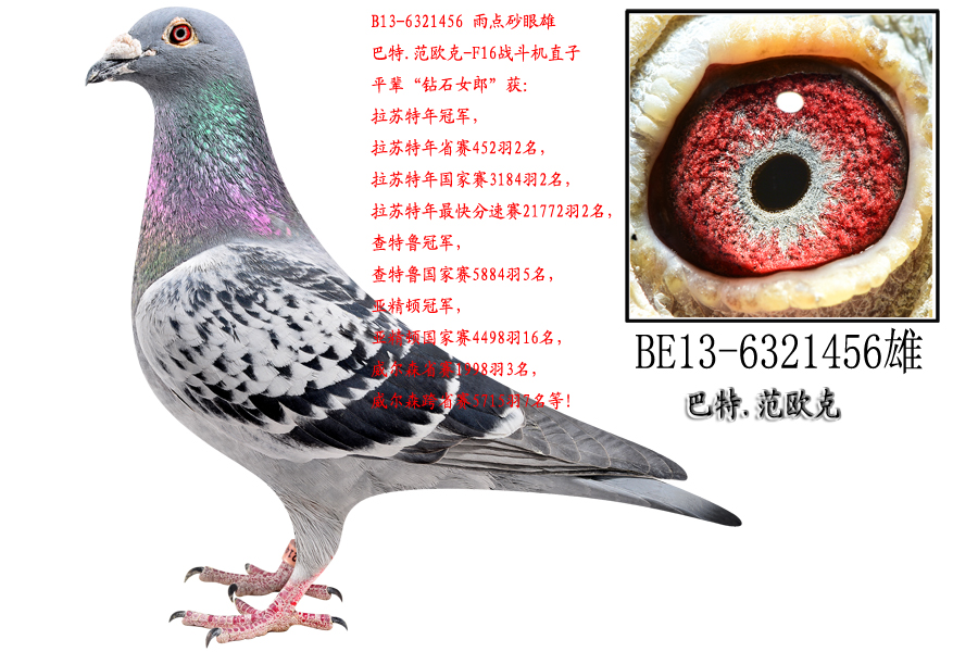 F16(zhn)C(j)ֱ
