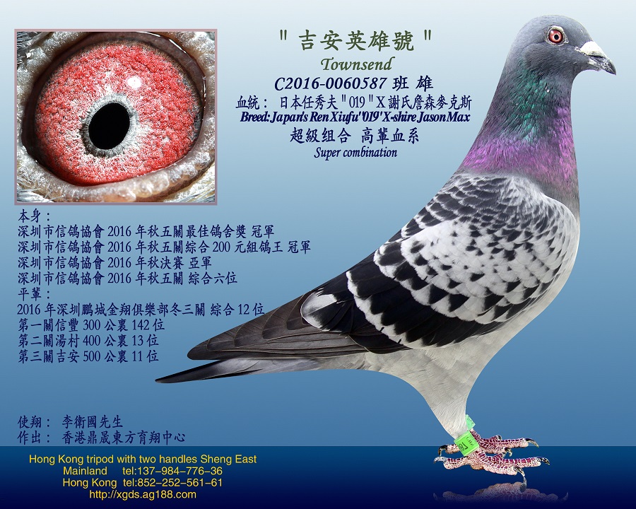 H65259000538.jpg
